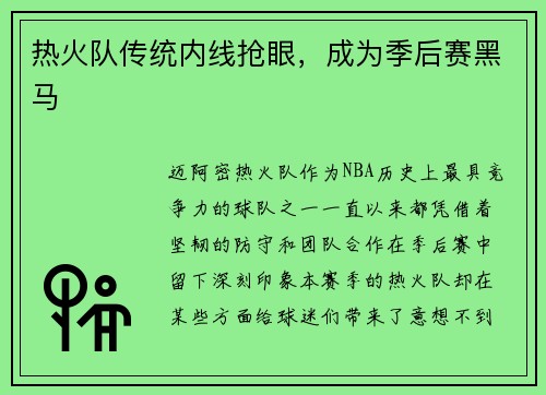热火队传统内线抢眼，成为季后赛黑马